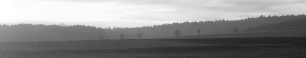 Logo Blaetterwald